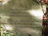 image of grave number 911812